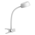 Top Light - LED bordlampe med klemme LED/4,5W/230V hvid