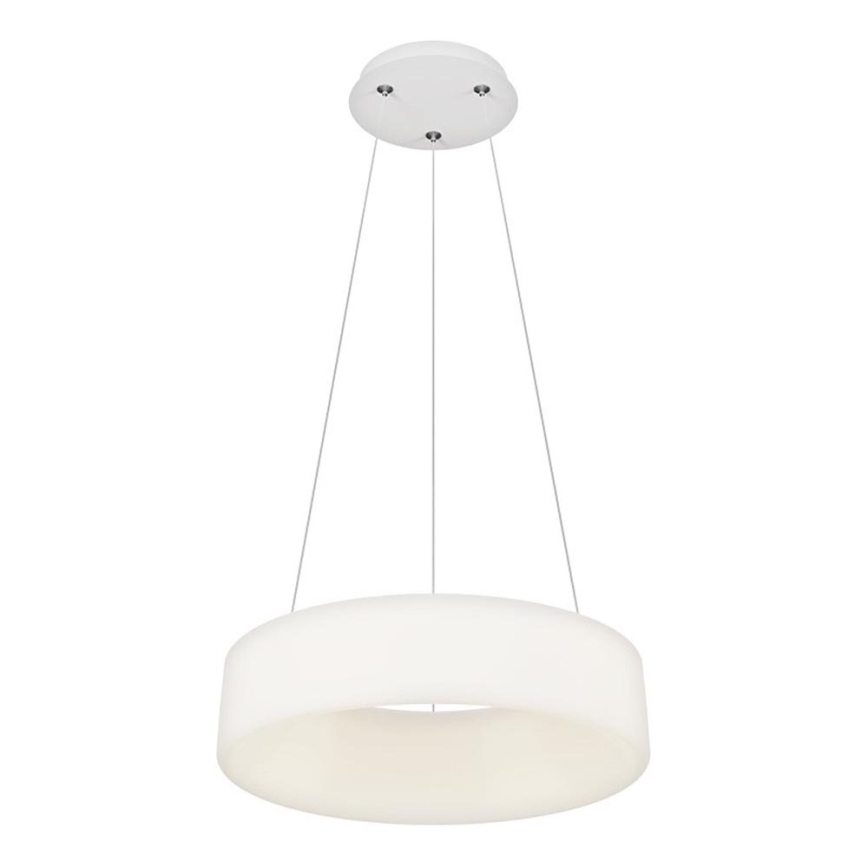 Top Light - LED Dimbart Hængelampe HALO LED/40W/230V 3000-6500K Ø 44 cm + Fjernbetjening