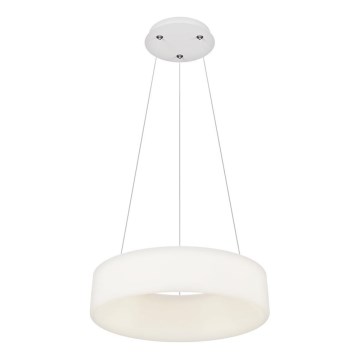 Top Light - LED Dimmable pendellampe HALO LED/40W/230V 3000-6500K diameter 44 cm + fjernbetjening