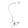 Top Light - LED Dæmpbar berøringsbordlampe med klemme BELLA LED/4,8W/5V 3000-6500K hvid