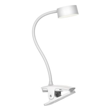 Top Light - LED Dæmpbar berøringsbordlampe med klemme BELLA LED/4,8W/5V 3000-6500K hvid