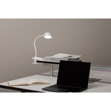 Top Light - LED Dæmpbar berøringsbordlampe med klemme BELLA LED/4,8W/5V 3000-6500K hvid