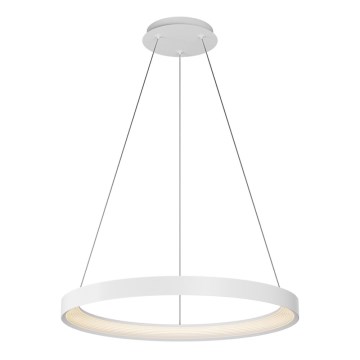 Top Light - LED dæmpbar loftlampe på kabel ORBIT LED/40W/230V 3000-6500K Ø 50 cm hvid + fjernbetjening
