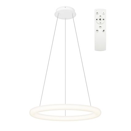 Top Light - LED dæmpbar pendel på kabel RINGO LED/40W/230V 3000-6500K hvid + fjernbetjening