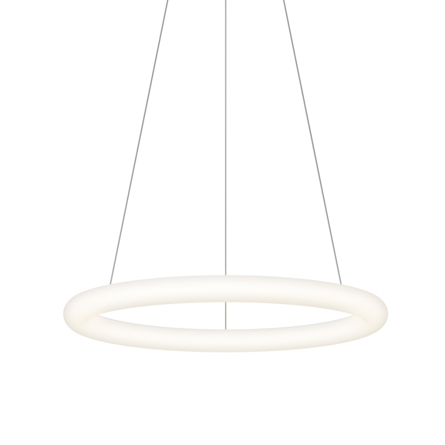 Top Light - LED dæmpbar pendel på kabel RINGO LED/40W/230V 3000-6500K hvid + fjernbetjening