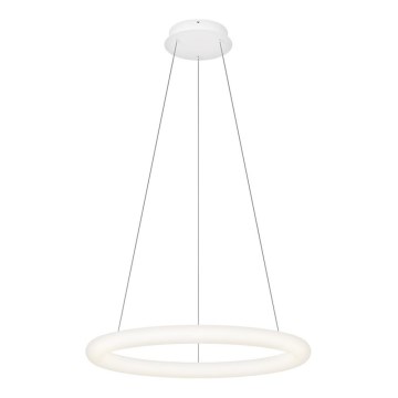 Top Light - LED dæmpbar pendel på kabel RINGO LED/40W/230V 3000-6500K hvid + fjernbetjening