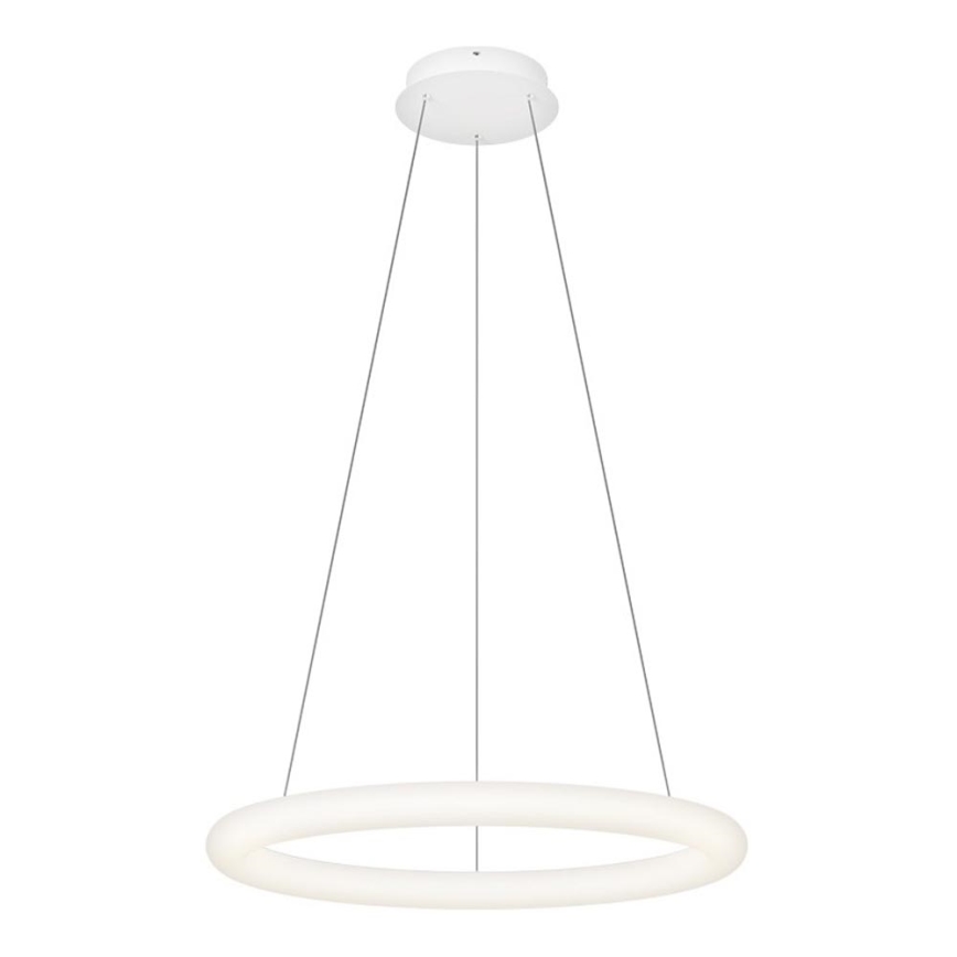 Top Light - LED dæmpbar pendel på kabel RINGO LED/40W/230V 3000-6500K hvid + fjernbetjening