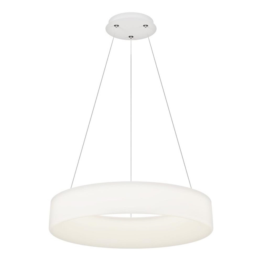 Top Light - LED-dæmpbar pendel på wire HALO LED/60W/230V 3000-6500K Ø 60 cm + fjernbetjening