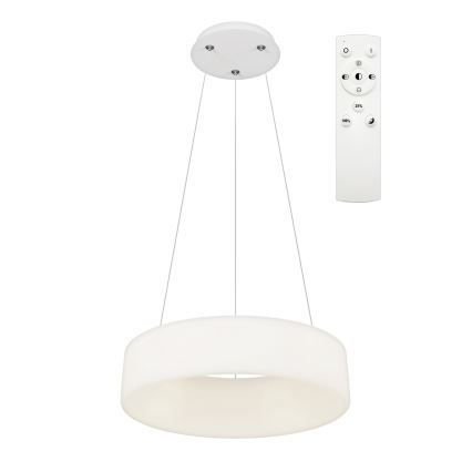 Top Light - LED Dimbart Hængelampe HALO LED/40W/230V 3000-6500K Ø 44 cm + Fjernbetjening