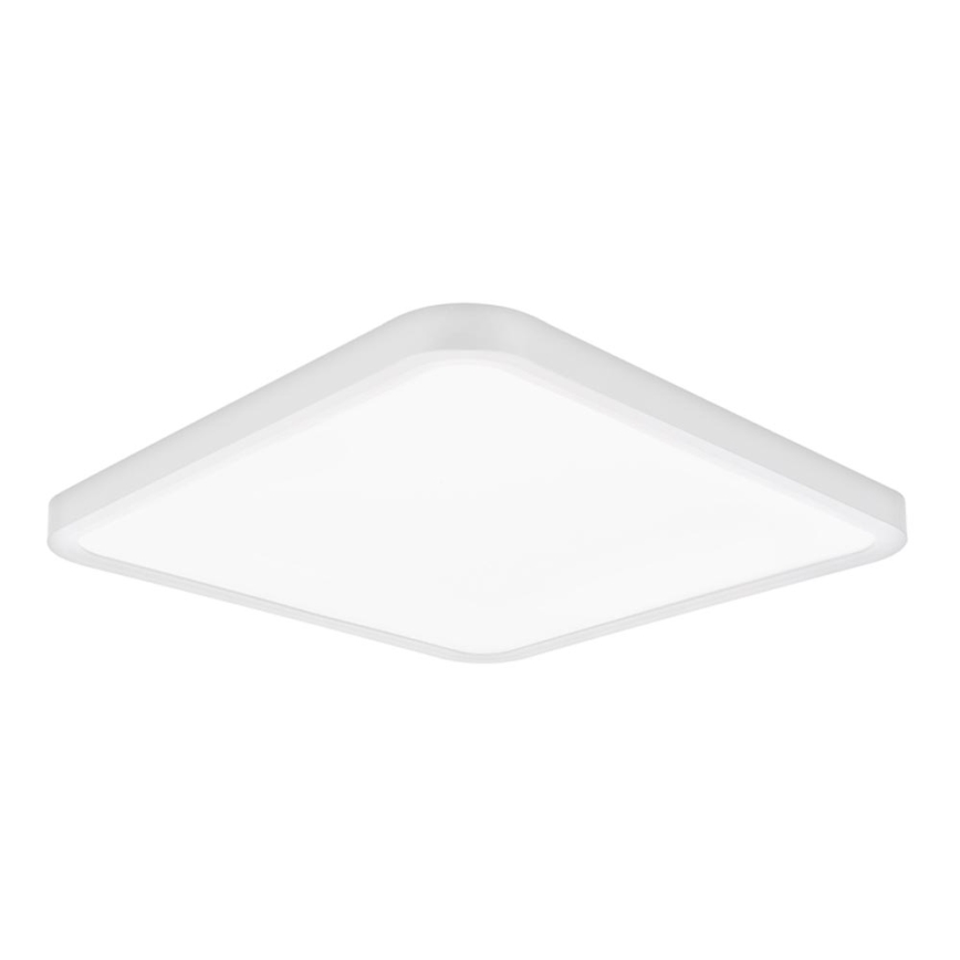Top Light - LED loftlampe dæmpbar REVIT LED/36W/230V 3000-6500K 40x40 cm hvid + fjernbetjening