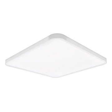 Top Light - LED loftlampe dæmpbar REVIT LED/50W/230V 3000-6500K 50x50 cm hvid + fjernbetjening