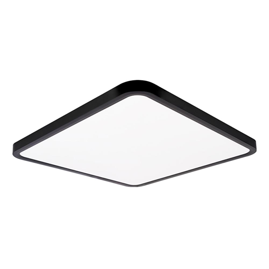 Top Light - LED loftlampe dæmpbar REVIT LED/50W/230V 3000-6500K 50x50 cm sort + fjernbetjening