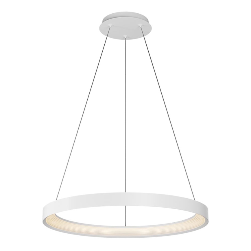 Top Light - LED pendel dæmpbar ORBIT LED/40W/230V 3000-6500K diameter 50 cm hvid + fjernbetjening