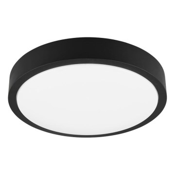 Trio - LED-dæmpbar loftlampe ISEO LED/24W/230V 3000K Ø 40 cm, sort