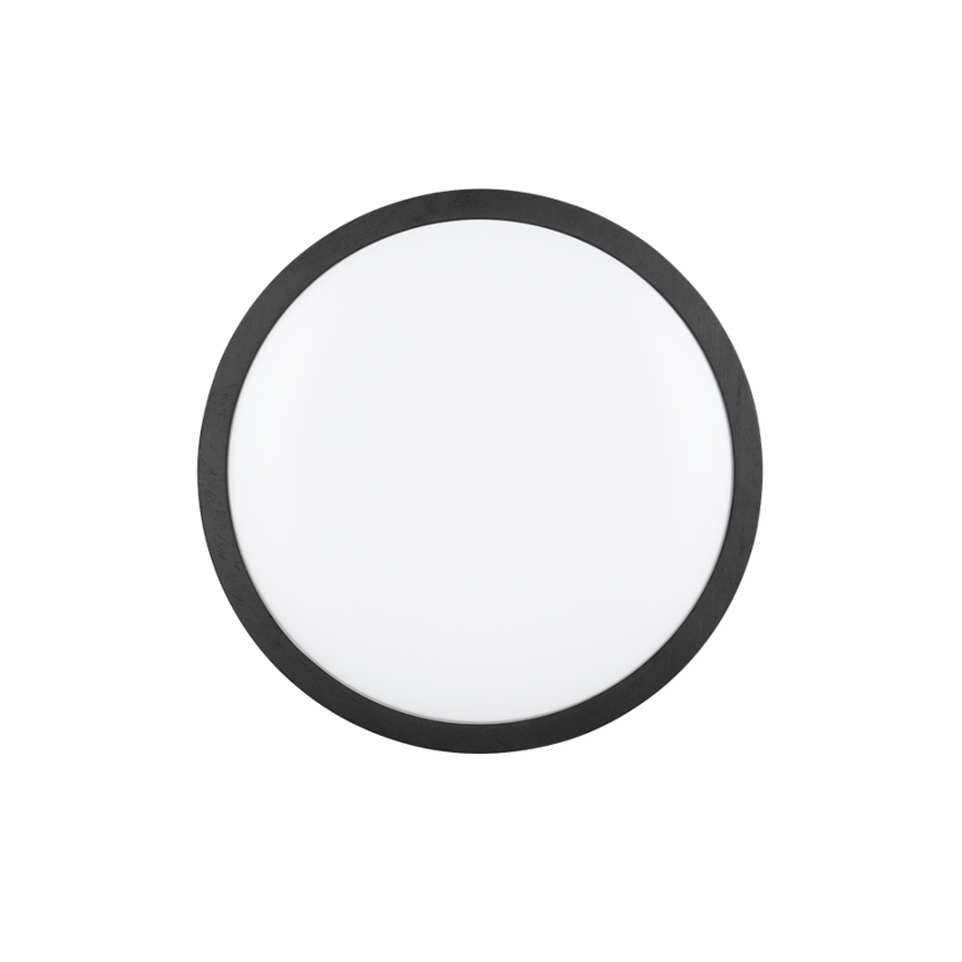 Trio - LED-dæmpbar loftlampe ISEO LED/24W/230V 3000K Ø 40 cm, sort