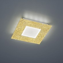 Trio - LED loftlampe CHIROS LED/12W/230V + LED/3,5W