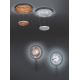 TRIO - LED pendel dæmpbar ZENIT 1xLED/19W/230V