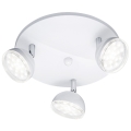 Trio - LED spotlampe BOLOU 3xLED/3,8W/230V