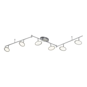 TRIO - LED spotlampe DUELLANT 6xLED/4,3W/230V 3000K