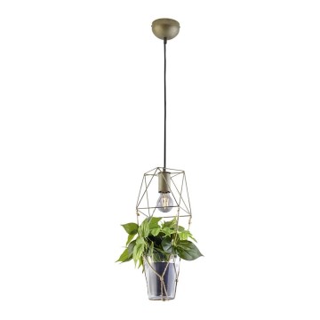 Trio - Loftlampe på ledning PLANT 1xE27/10W/230V