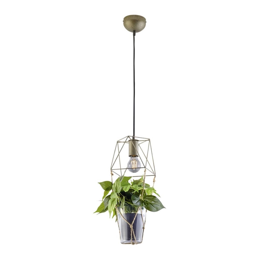 Trio - Loftlampe på ledning PLANT 1xE27/10W/230V