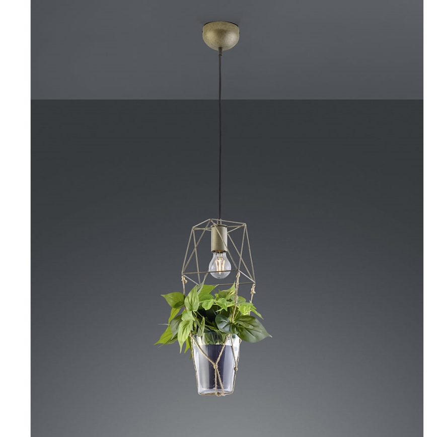 Trio - Loftlampe på ledning PLANT 1xE27/10W/230V