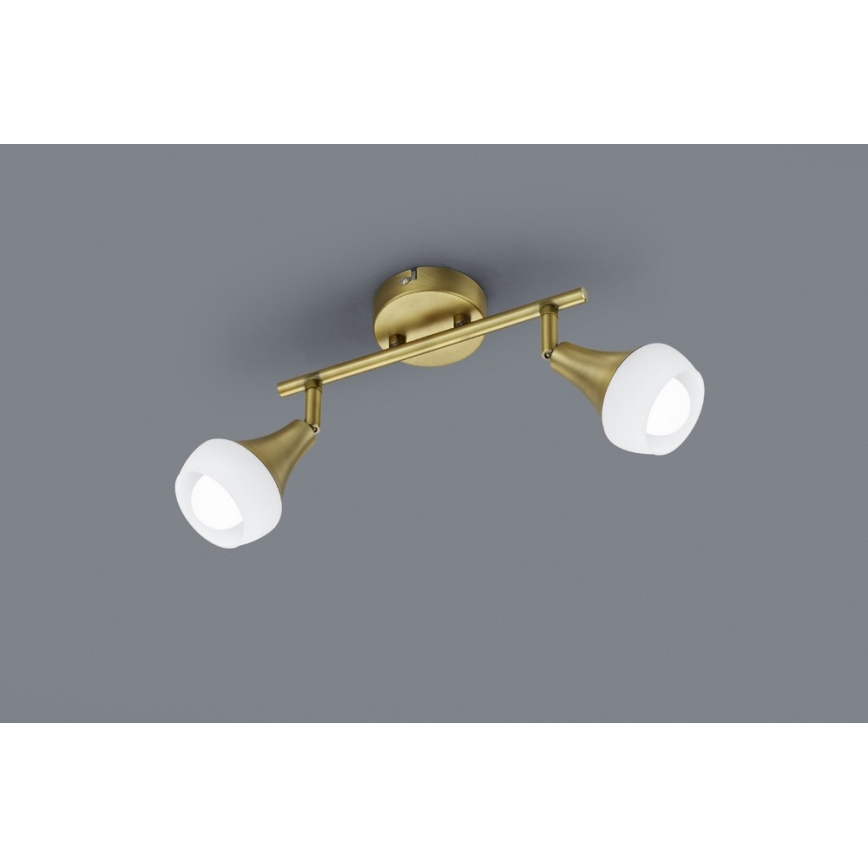 TRIO - Spotlys TRUMPET 2xE14/40W/230V