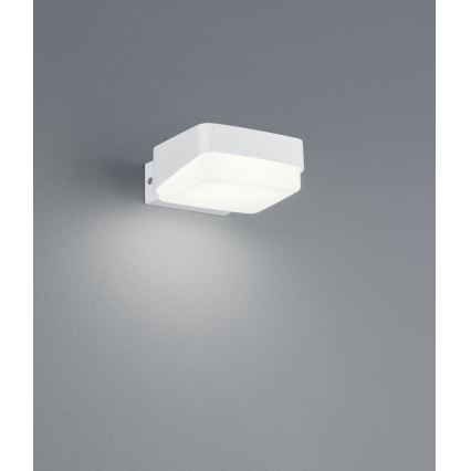 Trio - Udendørs LED væglampe JUBA LED/10W/230V IP65