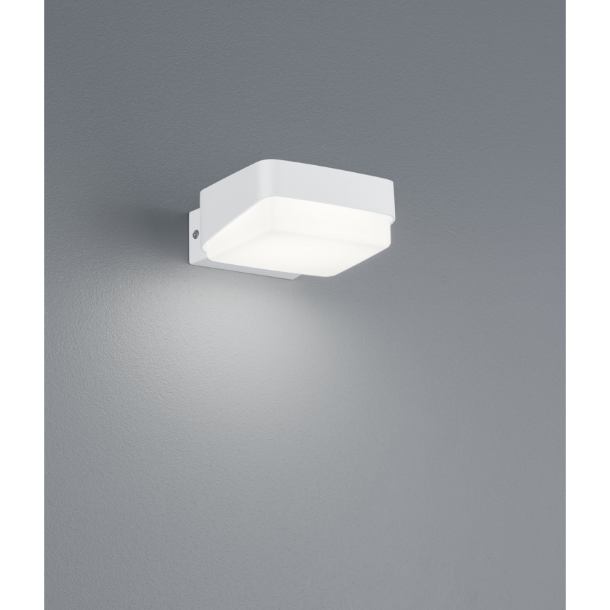 Trio - Udendørs LED væglampe JUBA LED/10W/230V IP65