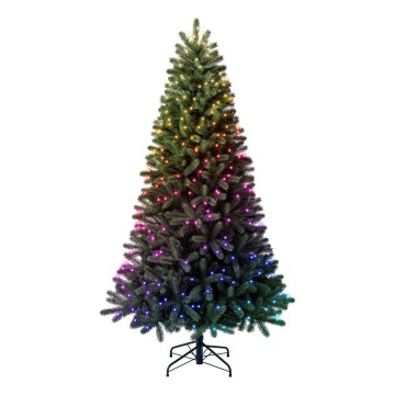 Twinkly - LED RGBW Dæmpbar juletræ TREE 435xLED 2,1 m Wi-Fi