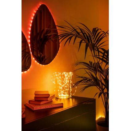 Twinkly - LED RGB Dæmpbar julelys DOTS 60xLED 7 m USB Wi-Fi