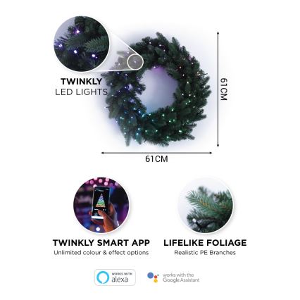 Twinkly - LED RGB Dæmpbar Julekrans PRE-LIT WREATH 50xLED diameter 61 cm Wi-Fi