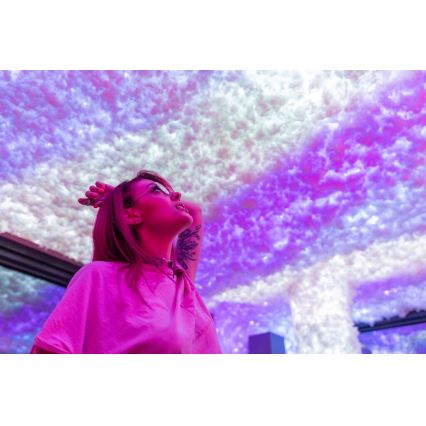 Twinkly - LED RGBW, dæmpbar udendørs lyskæde STRINGS 250 LED, 23,5 m, IP44, Wi-Fi