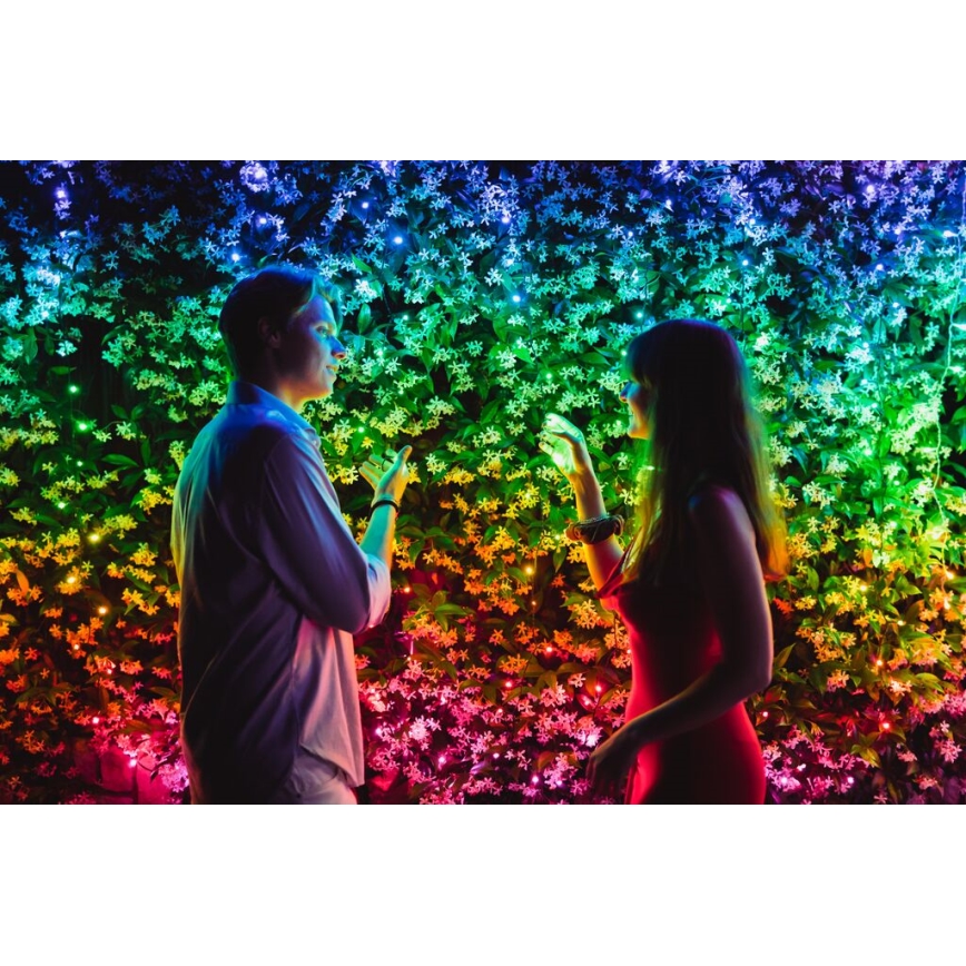 Twinkly - LED RGBW Dæmpbar udendørs julekæde STRINGS 250xLED 23,5m IP44 Wi-Fi