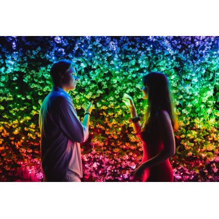 Twinkly - LED RGB Dæmpbar udendørs julekæde STRINGS 400xLED 35,5 m IP44 Wi-Fi