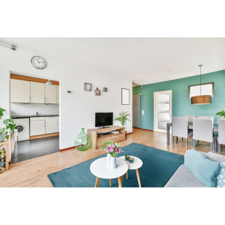 Tæppe RABBIT-ROSA NEW 80x150 cm 2000g/m2 turkis