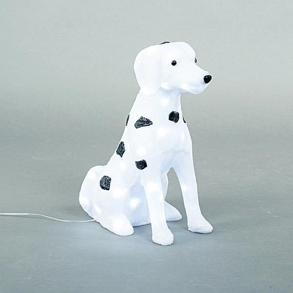 Udendørs LED-dekoration LED/3,6W/230V IP44 kølig hvid dalmatinmønster