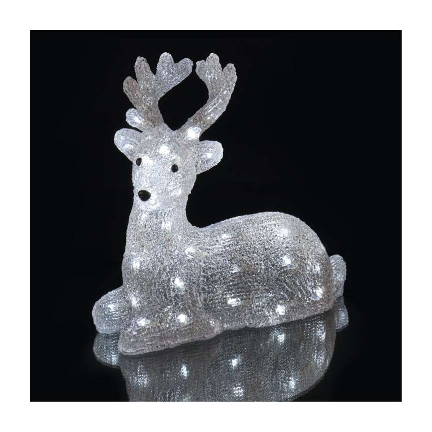 Udendørs LED juledekoration 40xLED/2,1W/230V IP44 hjort