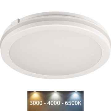Udendørs LED loftlampe BENO ECO LED/12W/230V 3000/4000/6500K diameter 20 cm IP65 hvid