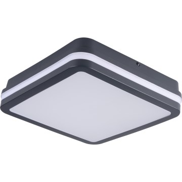 Udendørs LED loftlampe BENO LED/12/18W/230V 3000/3500/4000K IP65 antracit kantet
