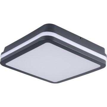 Udendørs LED loftlampe BENO LED/24/30W/230V 3000/3500/4000K IP65 antracit kantet