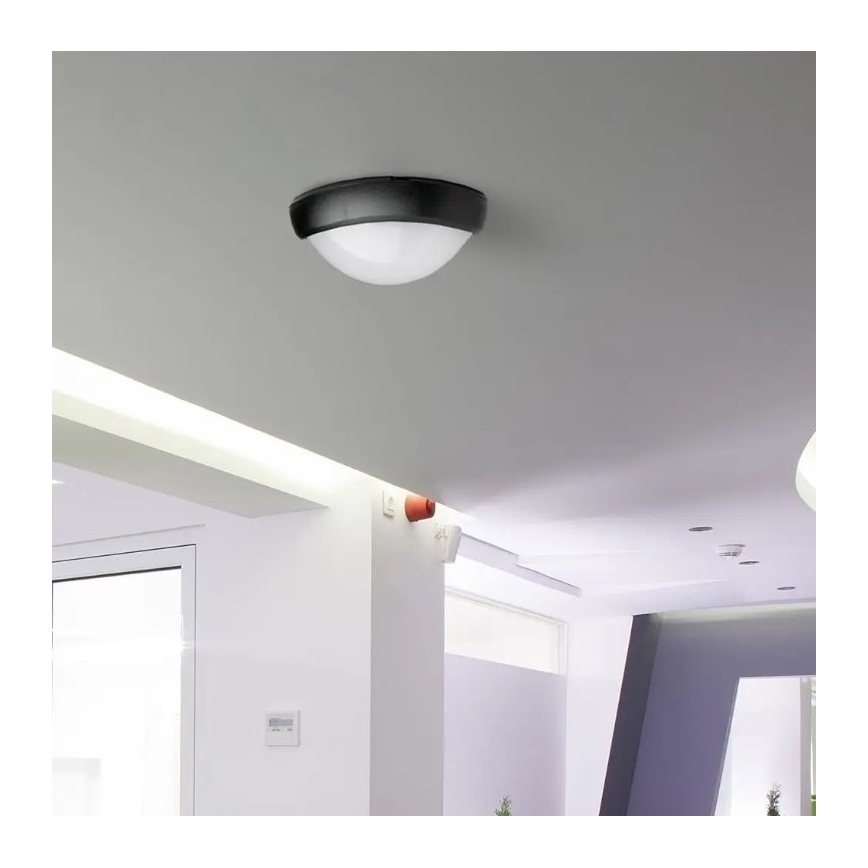 Udendørs LED loftlampe LED/12W/230V IP54