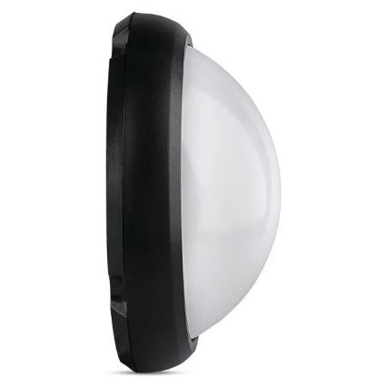 Udendørs LED loftlampe LED/12W/230V IP54