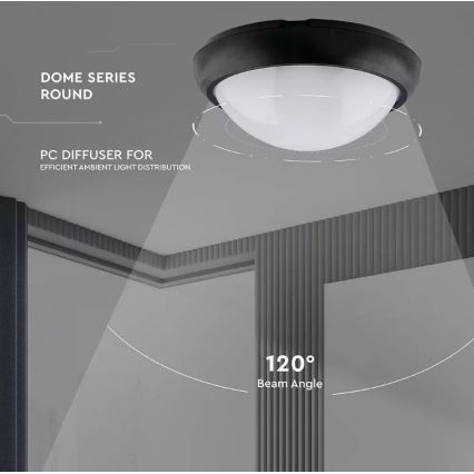 Udendørs LED loftlampe LED/12W/230V IP54