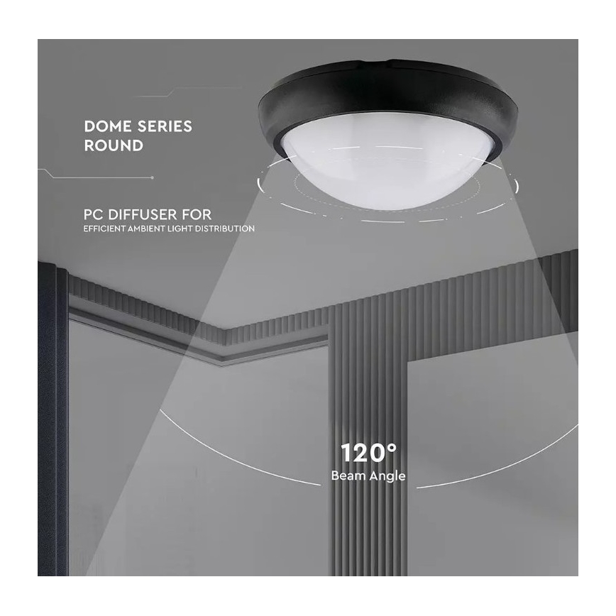 Udendørs LED loftlampe LED/12W/230V IP54