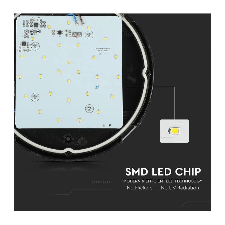 Udendørs LED loftlampe LED/12W/230V IP54