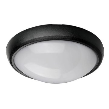 Udendørs LED loftlampe LED/12W/230V IP54