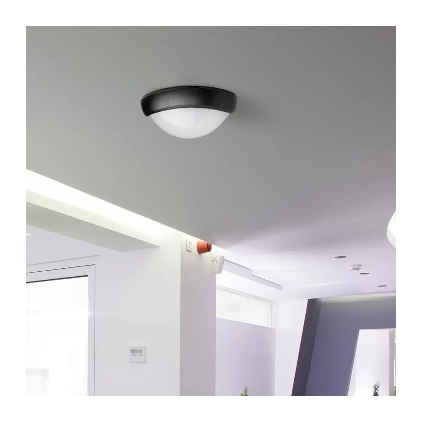 Udendørs LED loftlampe LED/12W/230V IP54