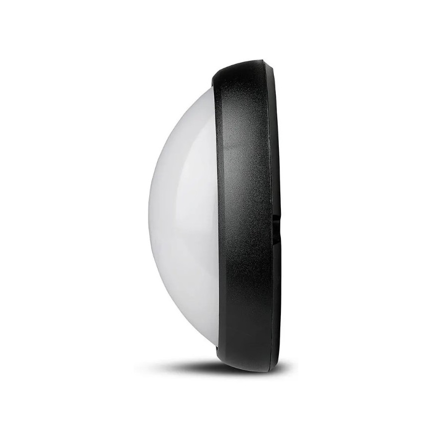 Udendørs LED loftlampe LED/12W/230V IP54