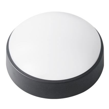 Udendørs LED loftlampe LED/14W/230V IP54 sort
